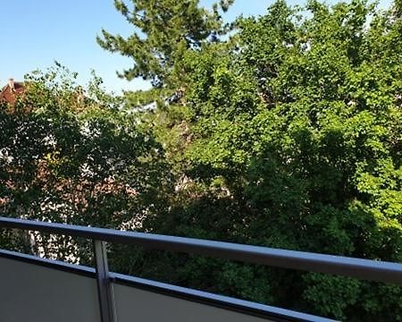 Appartement Foch A 科尔马 外观 照片