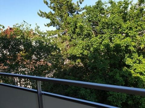 Appartement Foch A 科尔马 外观 照片